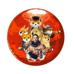 DogeShibaFlokiKabosuBoneElonMars69Inu