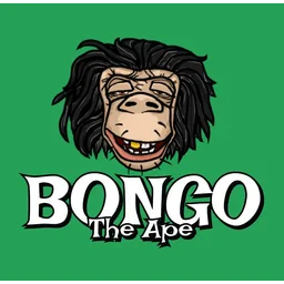 BONGO