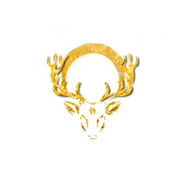 Dark Forest x Nature