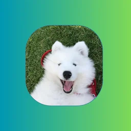 FluffCoin